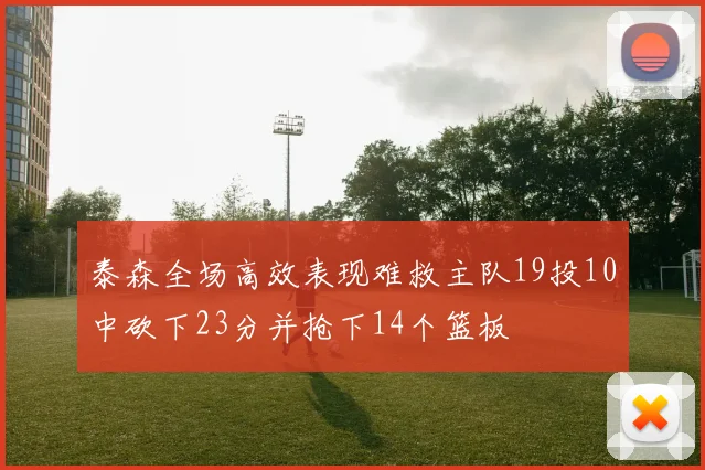 泰森全场高效表现难救主队19投10中砍下23分并抢下14个篮板