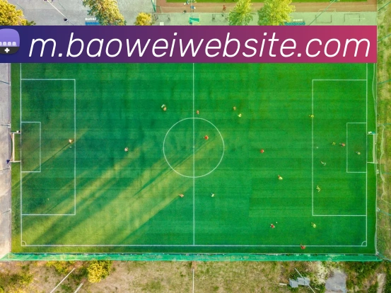 宝威体育服务体系